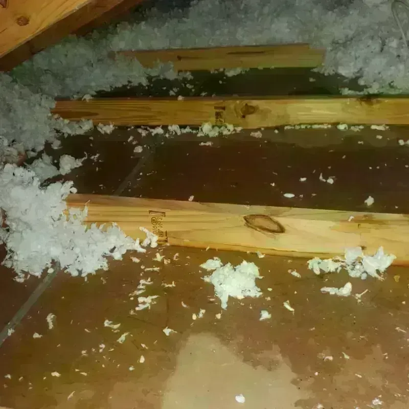 Attic Water Damage in Vincennes, IN